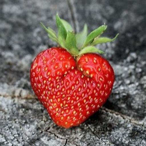 Клубника Обои иконка