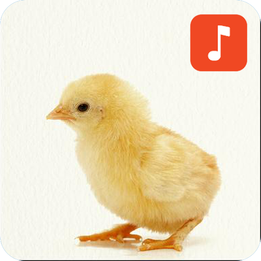 Baby Chicken Sounds icon