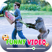 Funny Videos For Whatsapp icon