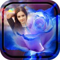 Macro Rose Photo Frame on 9Apps