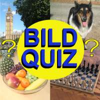 Bild Quiz