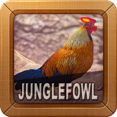 Junglefowl Sounds أيقونة