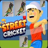 Mitro Street Cricket icon