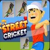 Mitro Street Cricket