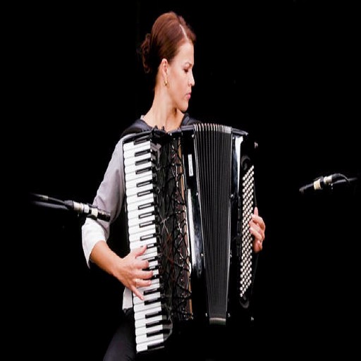 How to play Accordion icon