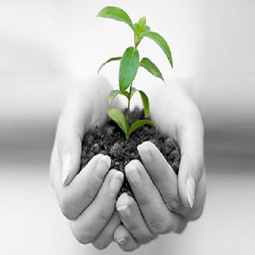 Development tracer icon