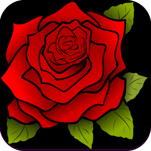 Rose Wallpaper HD icon