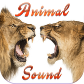 Sound Animal icon