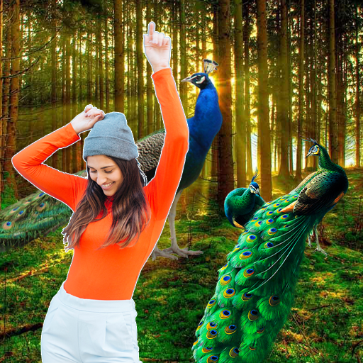 Peacock Photo Frames icon