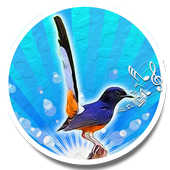 Bird Sounds Ringtone AZ icon