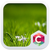 Best Grass Theme C Launcher icon