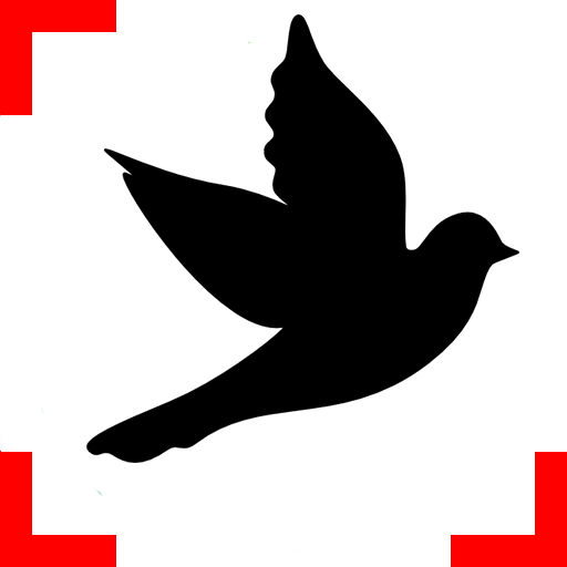 Bird finder: bird identification, bird wallpaper icon