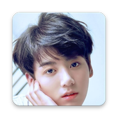 30+ Jungkook BTS Wallpapers HD icon