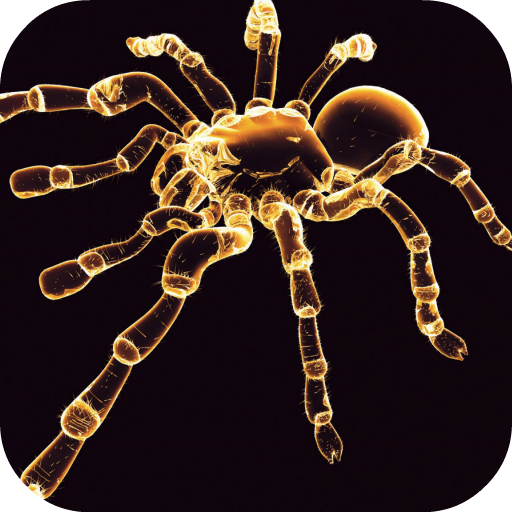 Neon Spider Live Wallpaper icon