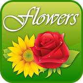 Flowers(ফুল) on 9Apps