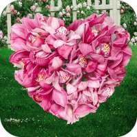 AppLock For Love on 9Apps