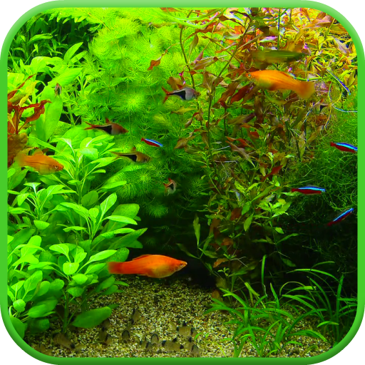 Real Aquarium 3D Wallpaper icon