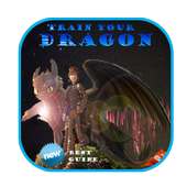 New Guide Train Your Dragon