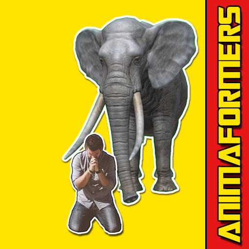 Animaformers Transform Effect - VFX Video Maker icon