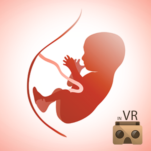 مراحل تطور الجنين - واقع افتراضى أيقونة