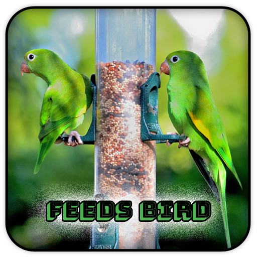 Feeds Bird icon