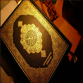 Al-Qur'an Online - Video &amp; Education icon