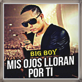 Musica Big Boy - Mis Ojos Lloran Por Ti icon