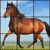 Animal Puzzles icon