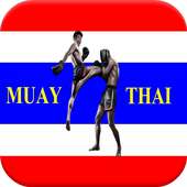 MUAY THAI FIGHTER BOXING FIGHT