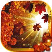 Autumn Sun HD live wallpaper