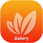 Gallery - Hide Photos &amp; Video icon