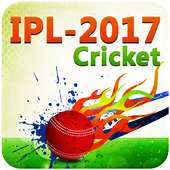 2017 IPL Cricket