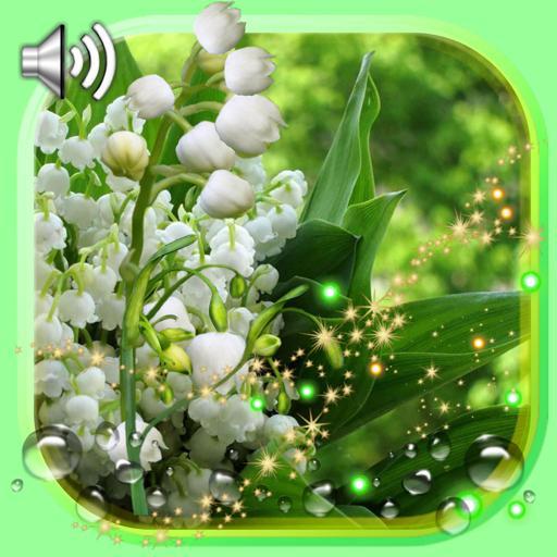 Spring Lilies live wallpaper icon