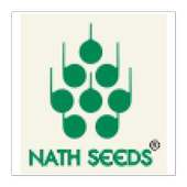 NBIL Daily Sales Reporting