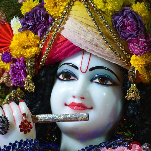 Beautiful Shri Krishna Live Wallpaper icon
