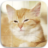 Cats Tile Puzzle icon