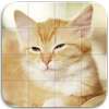 Cats Tile Puzzle