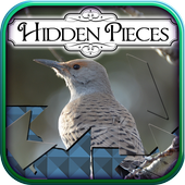 Hidden Pieces: Winter Birding icon