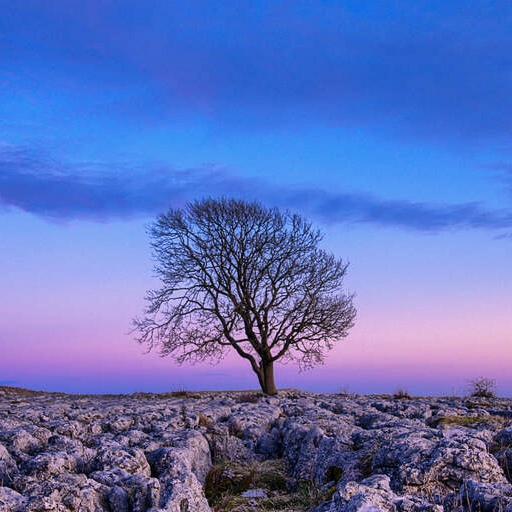 Nature HD Wallpaper icon