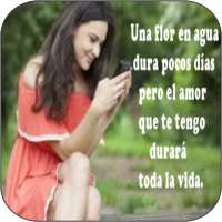 phrases to conquer a woman fall in love for free