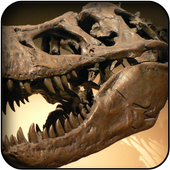 Dinosaur Skeleton Wallpapers icon