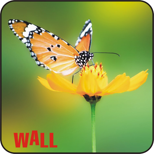 Best Nature Wallpapers In HD icon