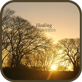 Healing go launcher theme icon