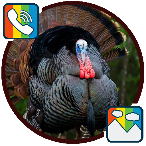Turkey - RINGTONES and WALLPAPERS icon