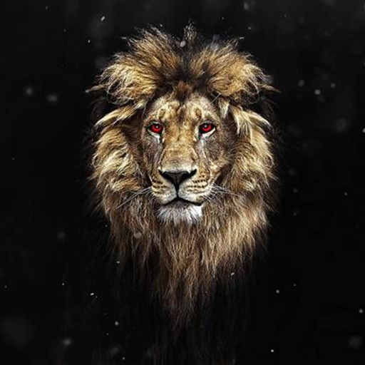 AMOLED Wallpapers &amp; GIFs icon