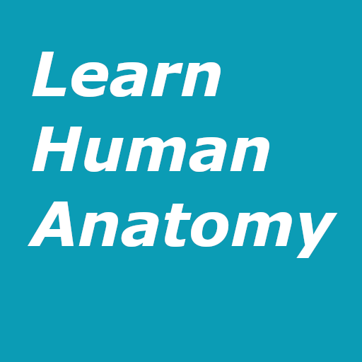 Learn Human Anatomy (Human Body) icon