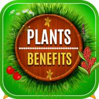 Medicinal Plants and their Benefits on 9Apps