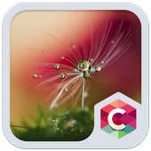 Crystal विषय बूँदें थीम on 9Apps