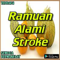 Ramuan Tradisional Penyakit Stroke Paling Ampuh