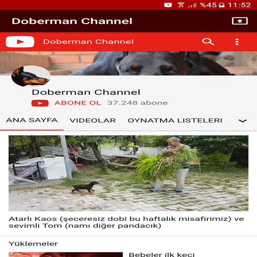 Doberman Channel icon